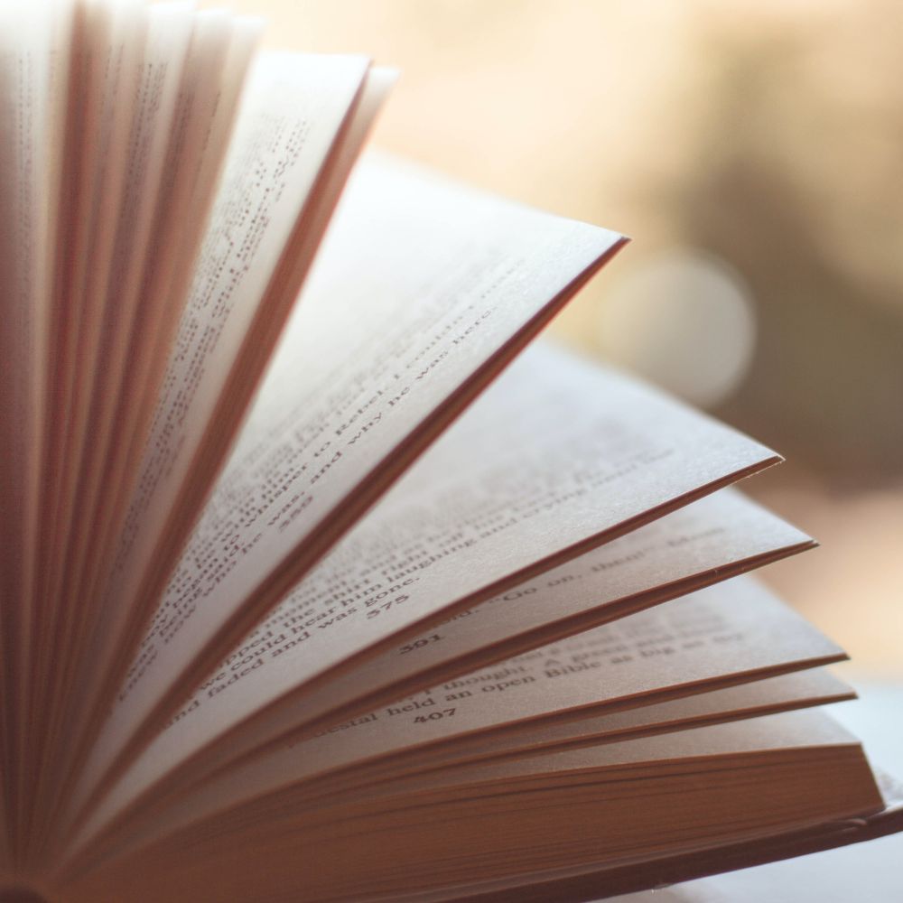 a book open to reveal its pages in a fan against a blurred background.