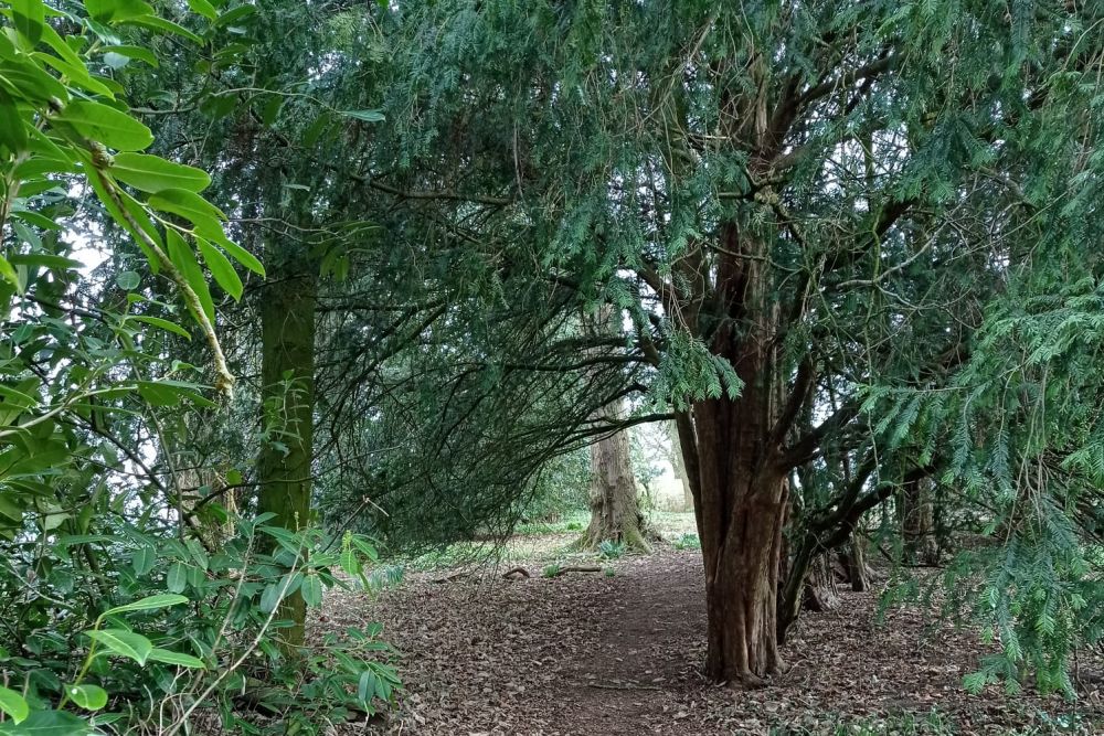 La Forest