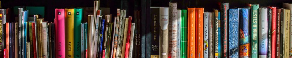 Books On Shelves