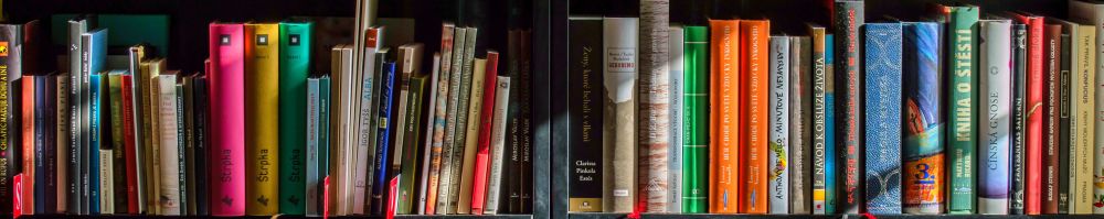 Books On Shelves