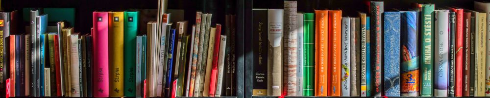 Books On Shelves