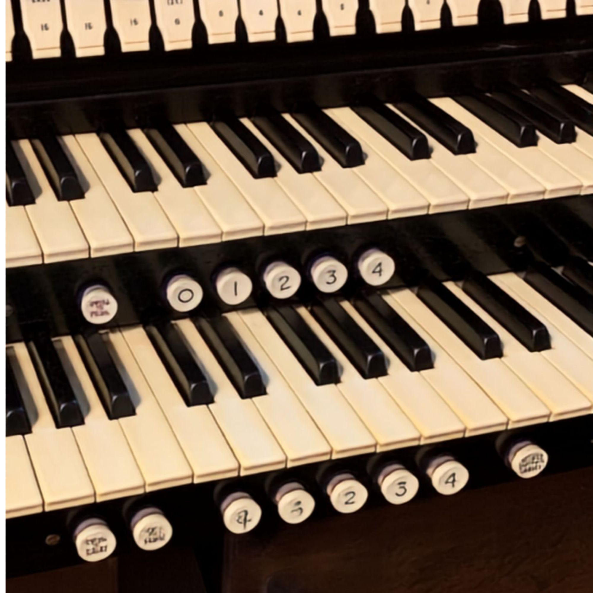 Organ Listing