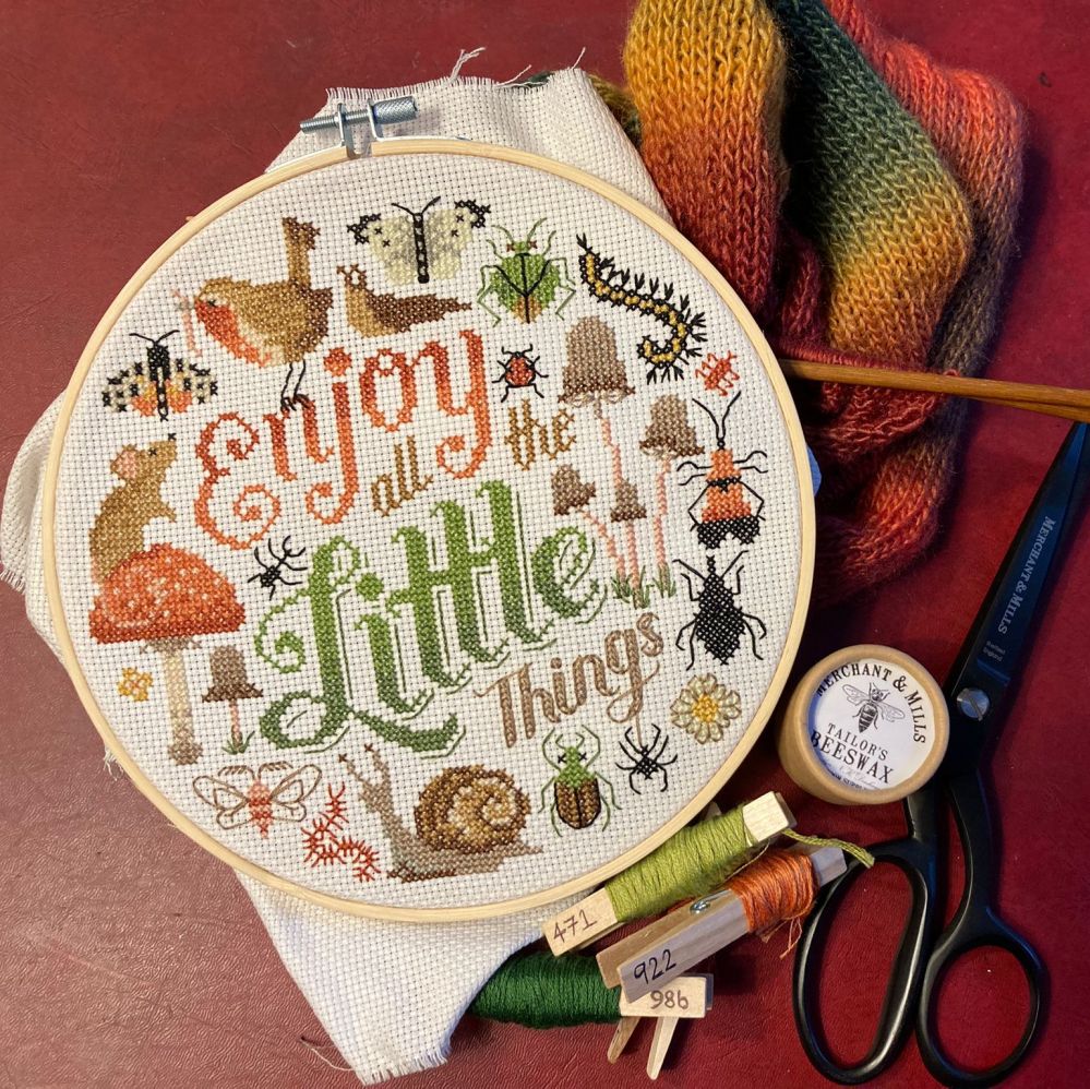 An embroidered piece of fabric with the words enjoy the little things pictured with some thread, scissors and knitting needles