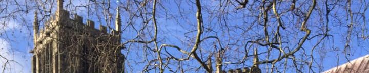 145572210 10165137771515434 5056865503402521045 N